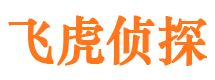 枣强市婚外情调查